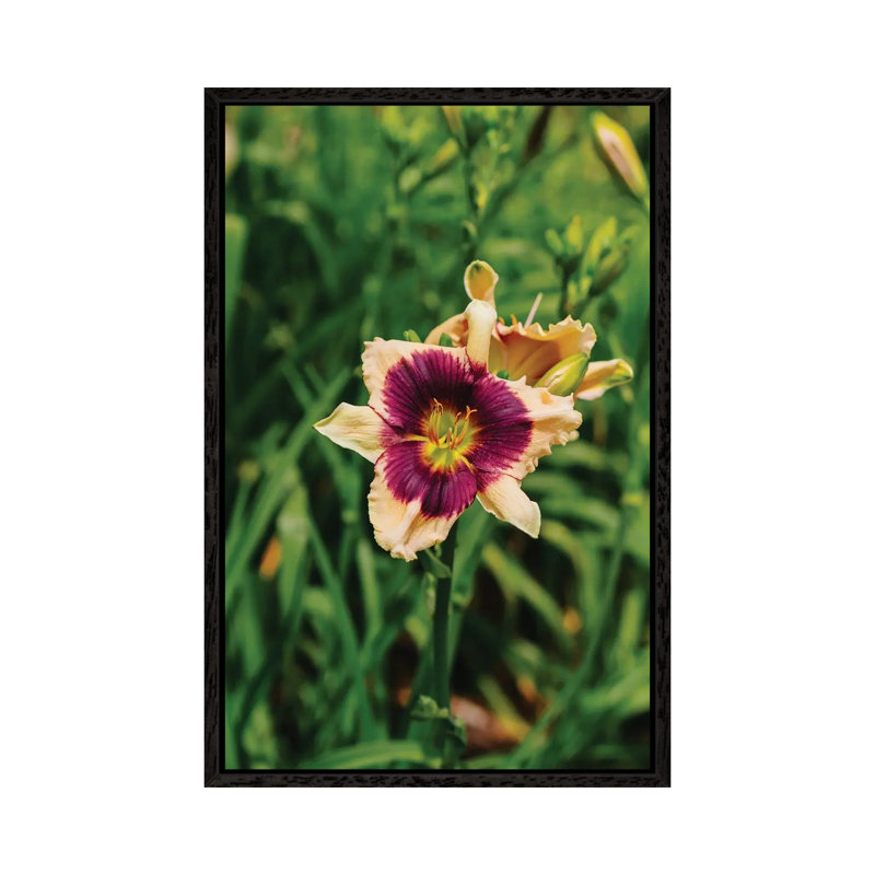 Daylily Garden V 1 Piece Wall Art on Canvas, 101.6cm H x 66.04cm W x 3.81cm D, Black Framed