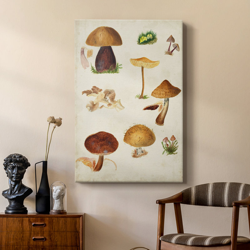 Mushroom Species II - galerie sur mesure, H 18 po x l 12 po