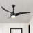 Coleigh 52'' Ceiling Fan with LED Lights-2010980600