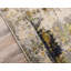 Tapis gris Keimar-26194402