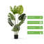 Arbre Monstera artificiel en pot de chambre de bébé-559287232