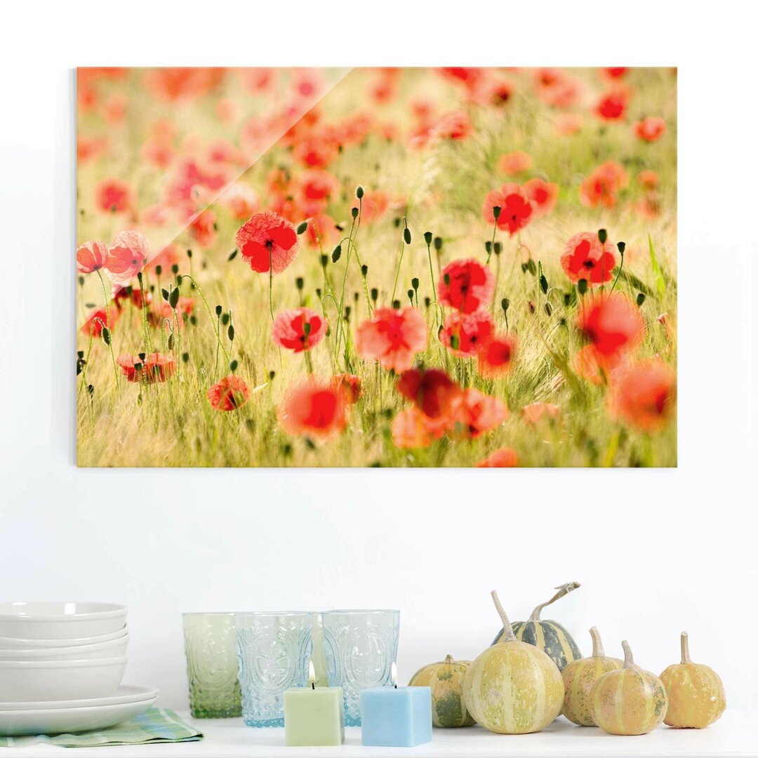 Glasbild Mohnblumen im Sommer in Rot