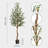 72'' Faux Olive Tree Tree in Pot-1178204451