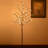Lighted Trees & Branches-25313853-25313855