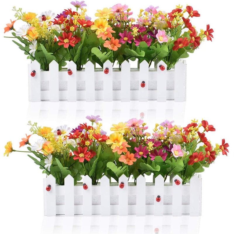 Arrangement de marguerites en pot