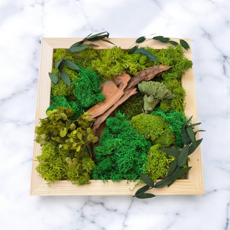 DIY Moss Wall Art Kit, Craft Project, Natural Gift, 6", 8", 10"