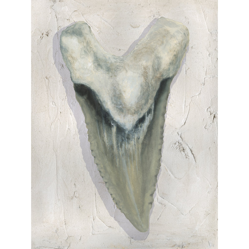Tencho Watercolor Sharks Tooth II by Michael Willett - Wrapped Canvas Print, 91 cm H x 61 cm W