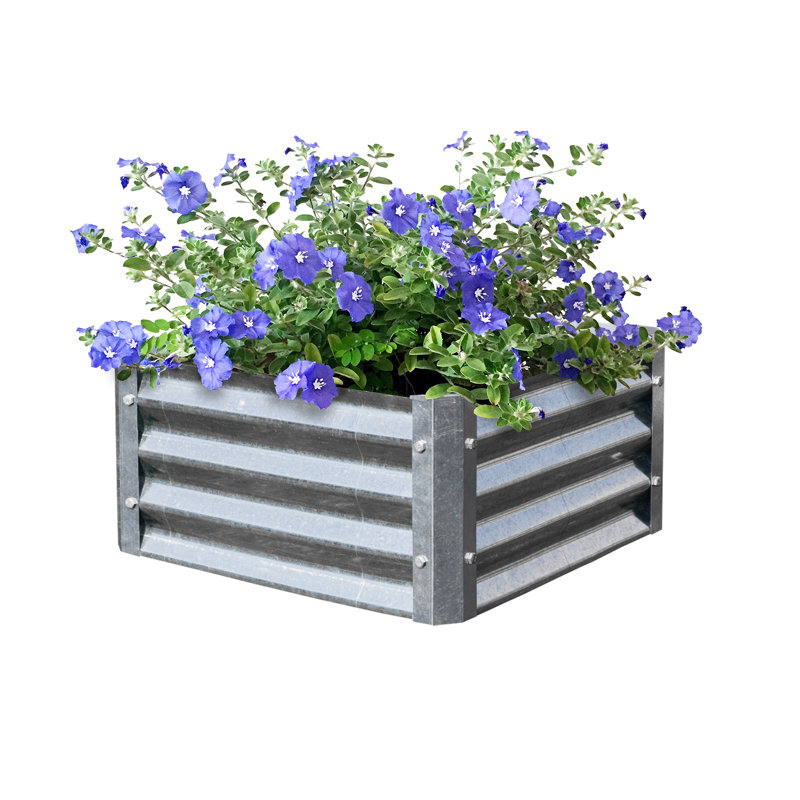 Jamil Metal Raised Garden Bed