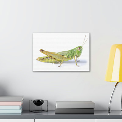 Cricket Hunting Cricket on Hunt Print Animal Wall Art