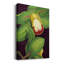 «Lime Orchid II», impression sur toile tendue-814572799