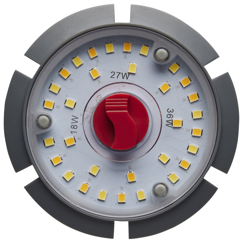 White LED Bulb