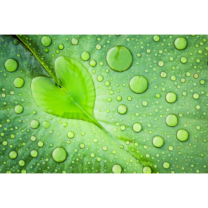Wrapped Canvas Print, 76.2 cm H x 50.8 cm W