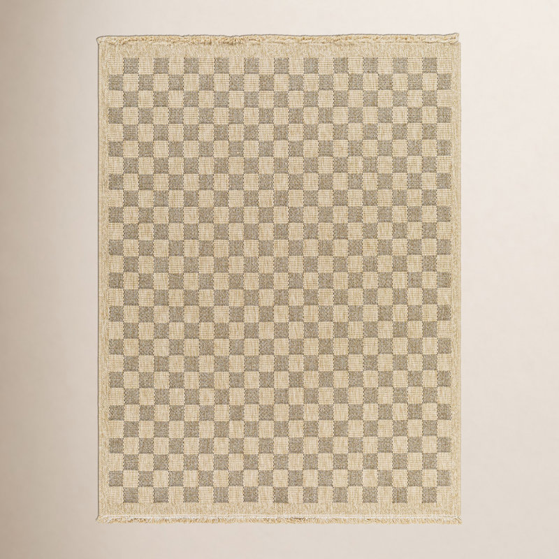 Abbie Machine Woven Checkered Area Rug, Rectangle 5'3" x 7'