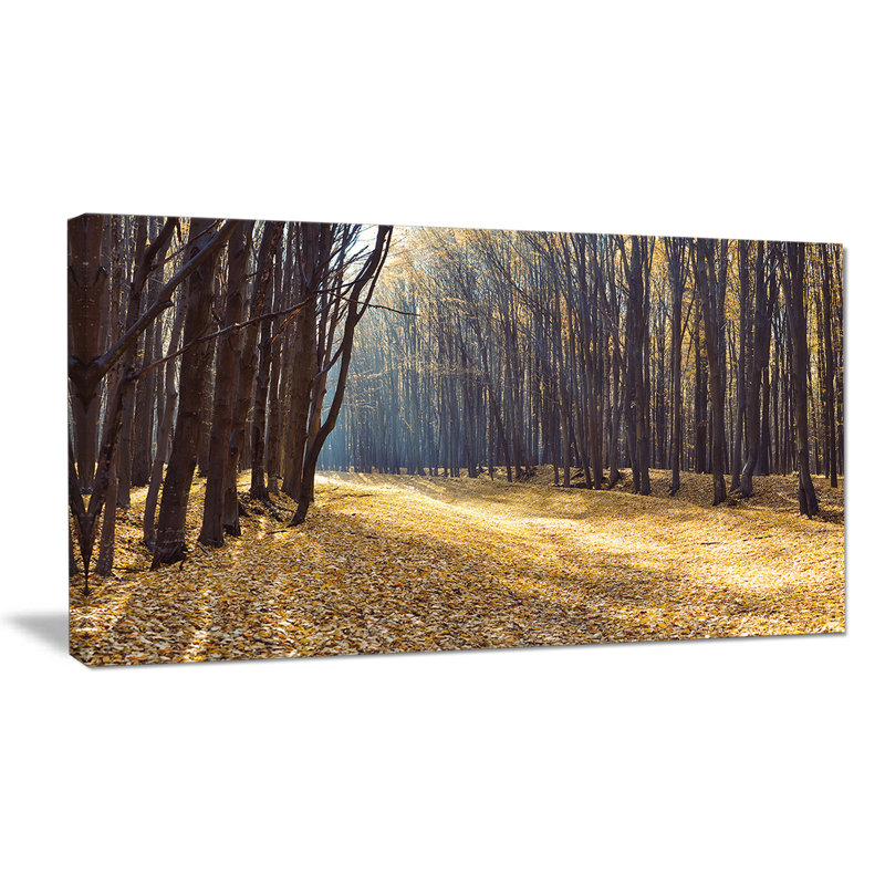 Path in the Fall Forest Panorama - Reproduction de photo sur toile tendue, H 16 po x l 32 po