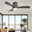 42.5" 3 - Blade Dimmable LED Light Standard Ceiling Fan with Remote Control and Light Kit Included