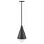 Luminaire suspendu simple à 1 lumière Gilroy-641378986