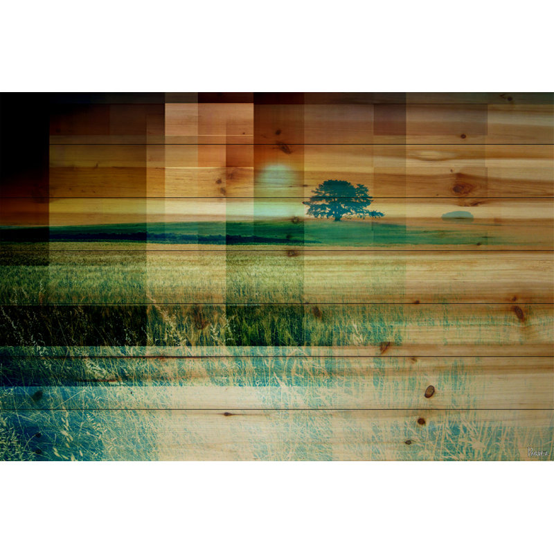 « pusledge » par parvez taj,-photographie sur bois, H 8 po x l 12 po