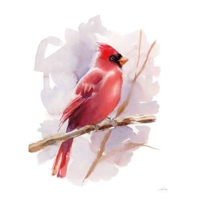 Cardinal en hiver