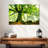 Harnek Ponthus' Beech In Broceliande Forest-108868917