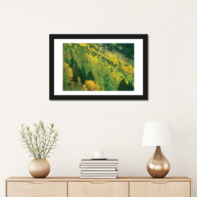 «Quake Aspen Grove in Fall Colors, Gunnison National Forest, Colorado», reproduction de photo sur toile