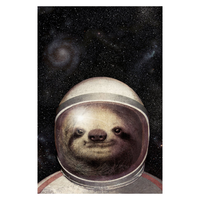 « space sloth », impression sur toile tendue, H 26 po x l 18 po x P 1,5 po