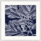 Transitional Leaf Composition On Navy 2 Print