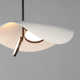 Hinton 2 Light Metal LED Pendant