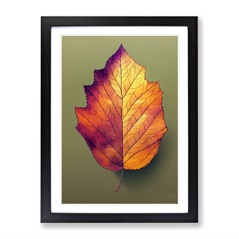 Autumn Leaf No.4 - Single Picture Frame Print, 34cm H x 25cm W x 2cm D, Black Framed