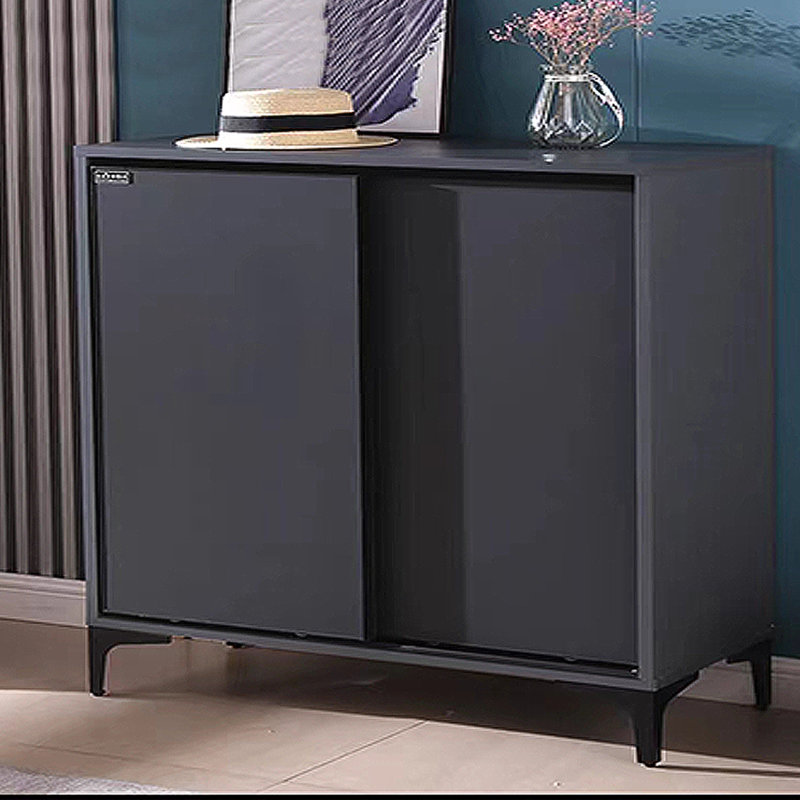 Armoire de rangement moderne pour chaussures 24 pièces, Gris foncé