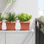 Plant Stand-1301699634-1301699630