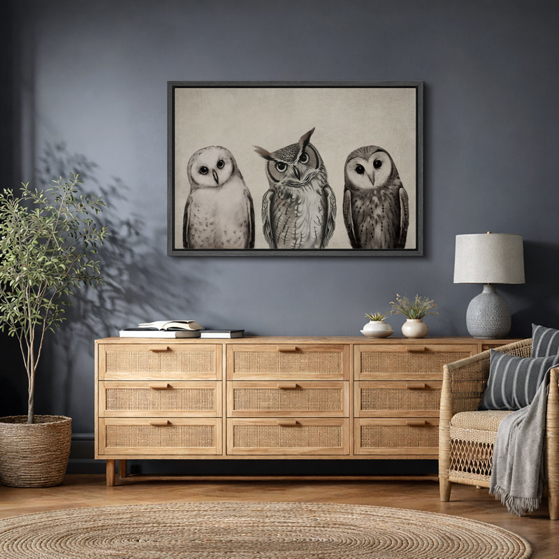 "Bird Birds", variété de chouettes, encadrée sur toile, Noir, noir, noir, noir, H 16 po x l 24 po x P 1,5 po