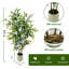 120cm Plant
