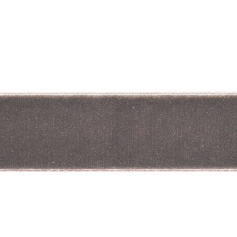 Reign A Ribbon Fabric