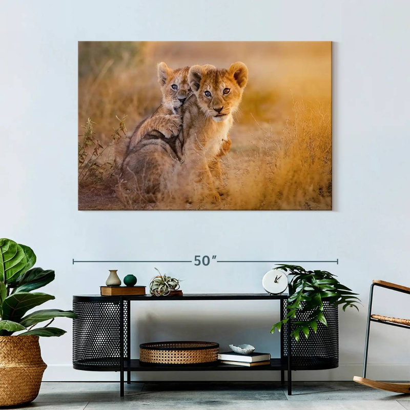 Adorables lionceaux Brampt, H 32 po x l 48 po