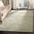 Sauge