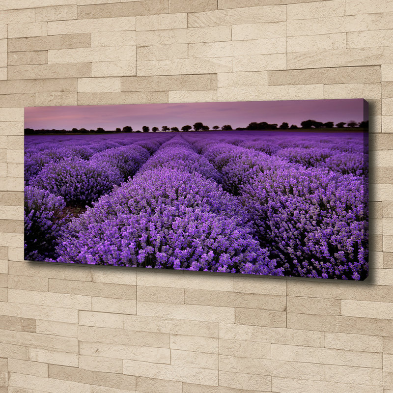 Lavender Field - No Frame Print on Canvas