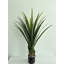 Fausse plante d'agave en pot-1602638697-1602638699