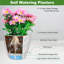 Pots de plantes auto-arrosants d'intérieur-1829309392