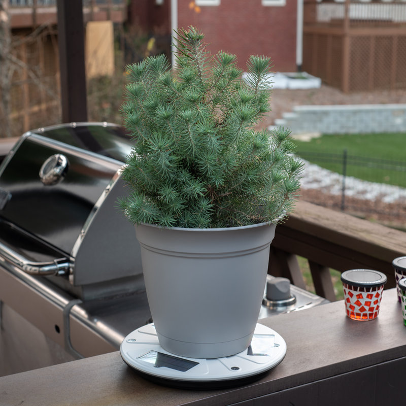 Outdoor Solar Planter Base with up light accents