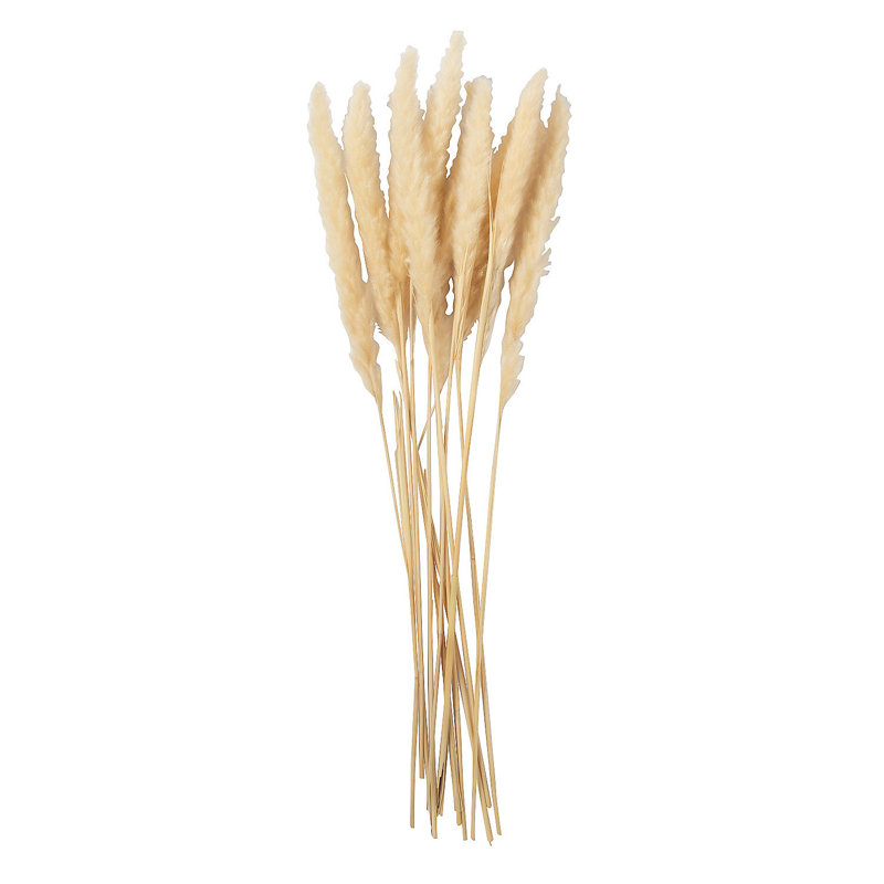 Fabric Pampas Arrangement