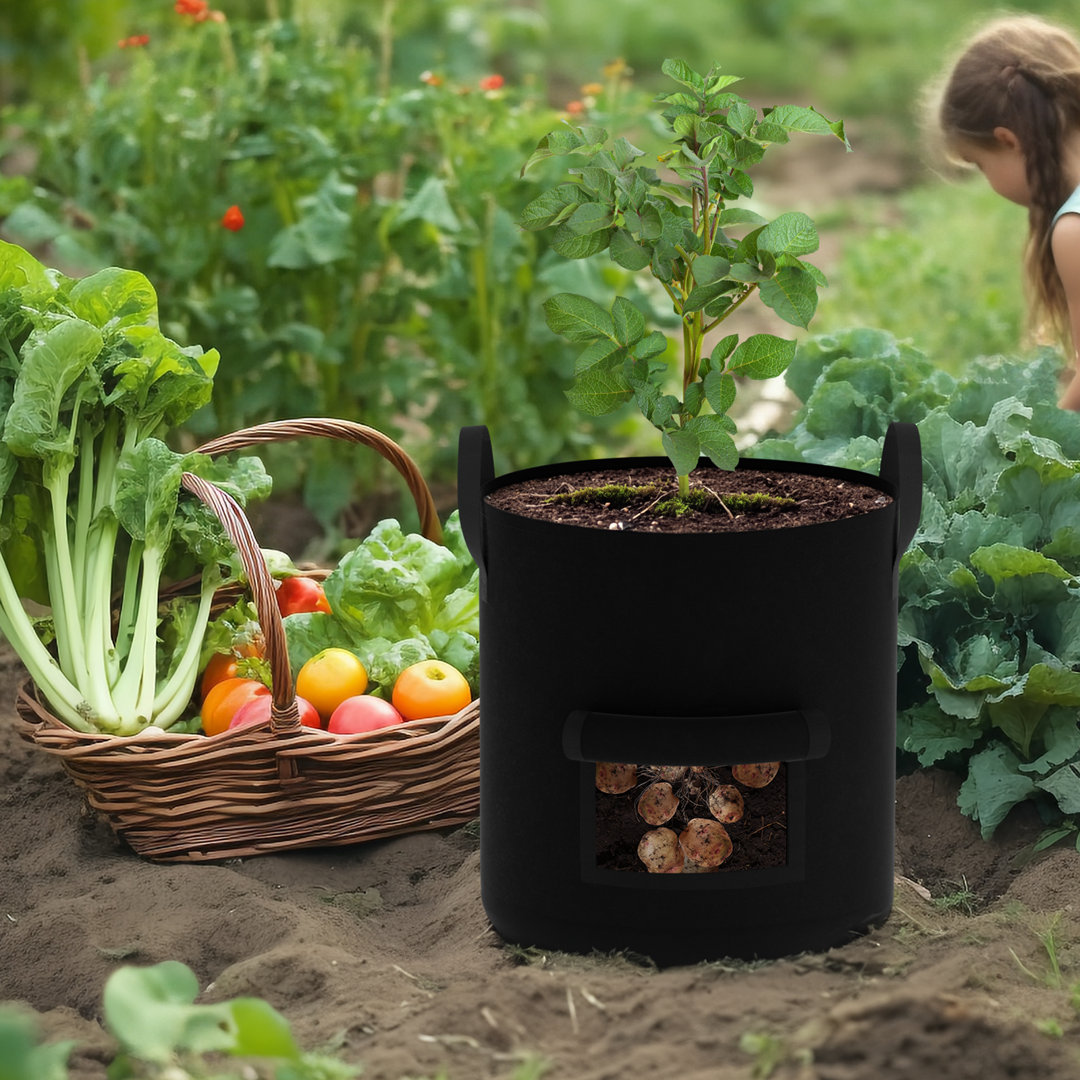 Yocasta Outdoor Pot Planter (Set of 4) Ebern Designs