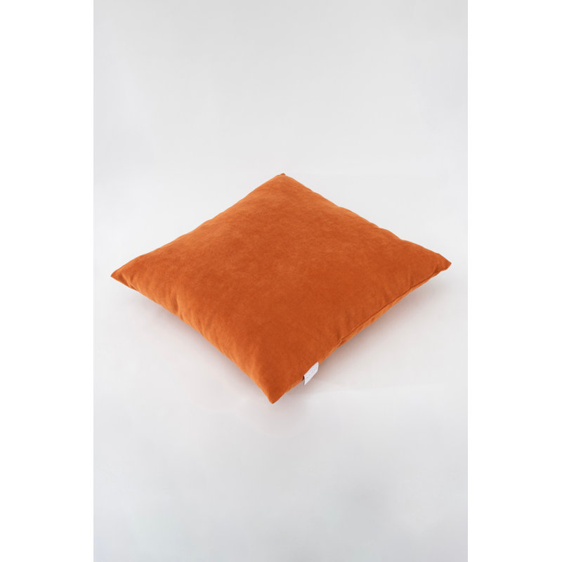 Housse de coussin décorative, 50% polyester / 50% coton, 16,9 po x 16,9 po | Impression numérique, lavable à la machine à 86 ° F | Parfait pour la décoration intérieure, le salon et la chambre à coucher, tissu doux et durable