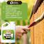 Protecteur de bambou Forever - formule exclusive, scellant respectueux de l'environnement en bambou