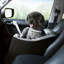 Siège de voiture en polyester Pet Booster-98410746