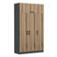 Armoire moderne avec de nombreuses tablettes, couleur anthracite et dorée, 53,1 po x 92,5 po x 20,5 po | 100% panneau de particules enduit de mélamine, épaisseur: 0,7 pouce | Solution de rangement élégante et fonctionnelle pour toute chambre à coucher-1502532701-1502532702