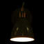 Azalea Spotlight-25454767
