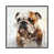 White Floater Framed Canvas selected