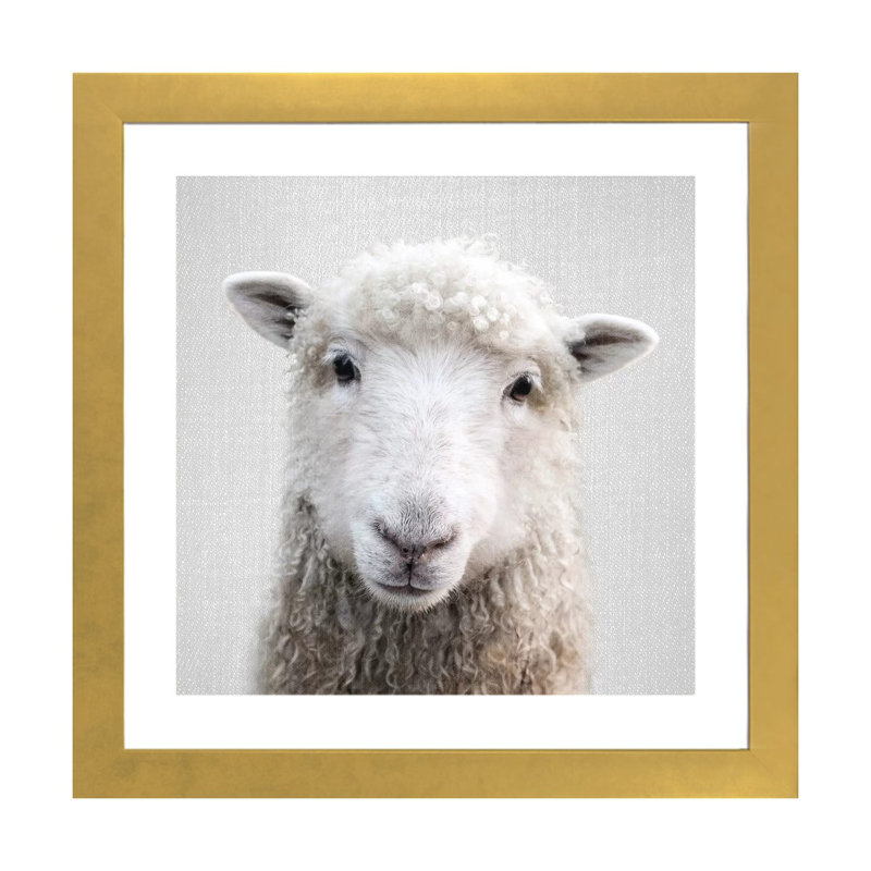 «Sheep» - reproduction de photo, H 24 po x l 24 po x p 1 po, Papier doré