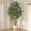 Adcock 8' H Artificial Ficus Tree in 18" White Planter
