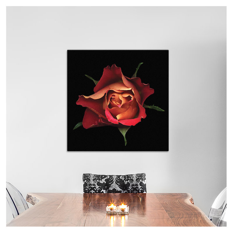 Le baiser d'une rose, reproduction de photo sur toile tendue, H 18 po x l 18 po x P 1,5 po, Toile avec cadre noir